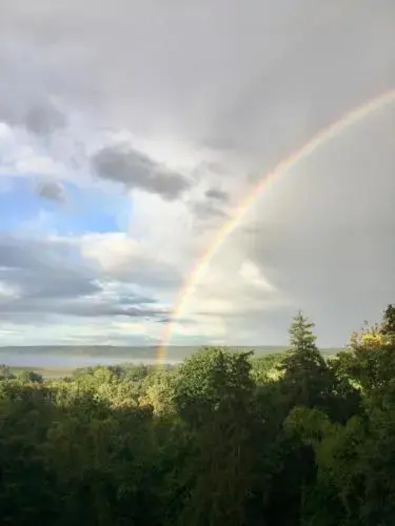 The Renwick Clifton House