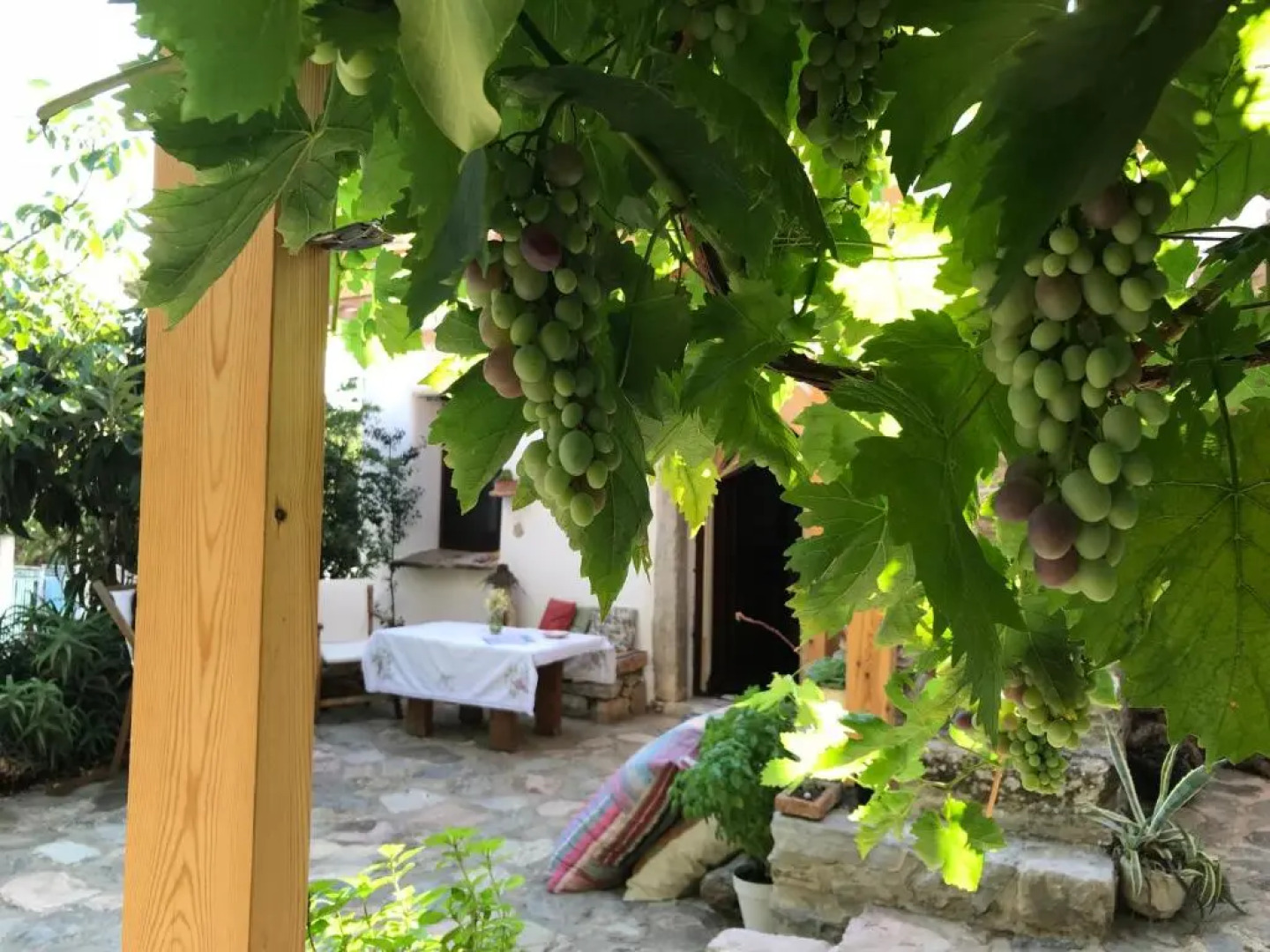 Mylopetra Traditional House