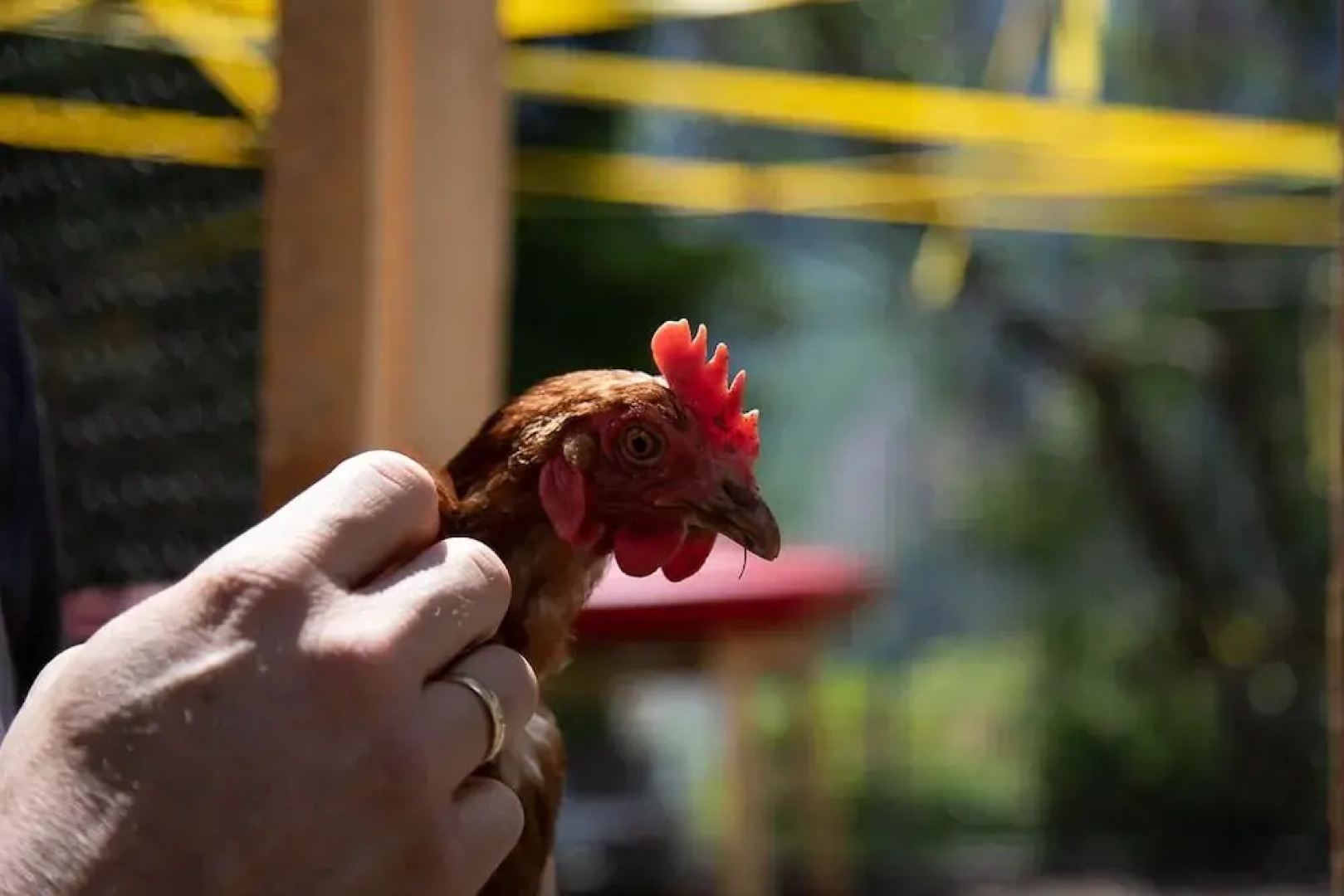 Erlebnishotel Mölltal