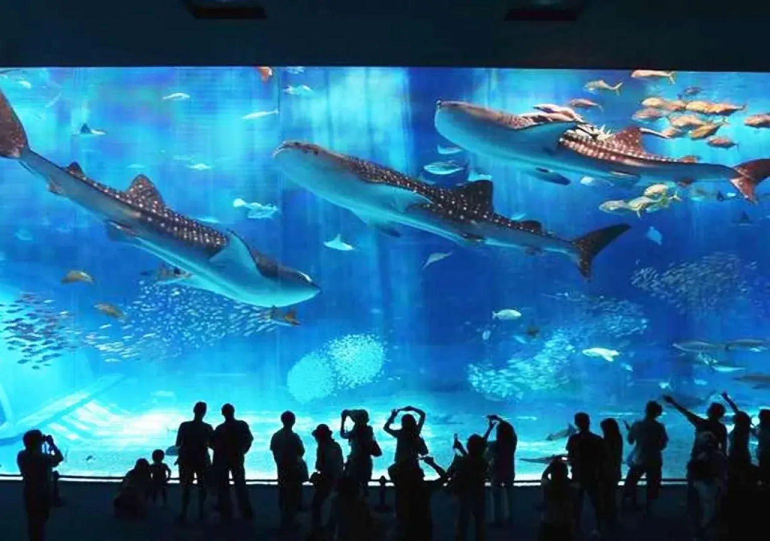 Hotel Okinawa With Sanrio Characters