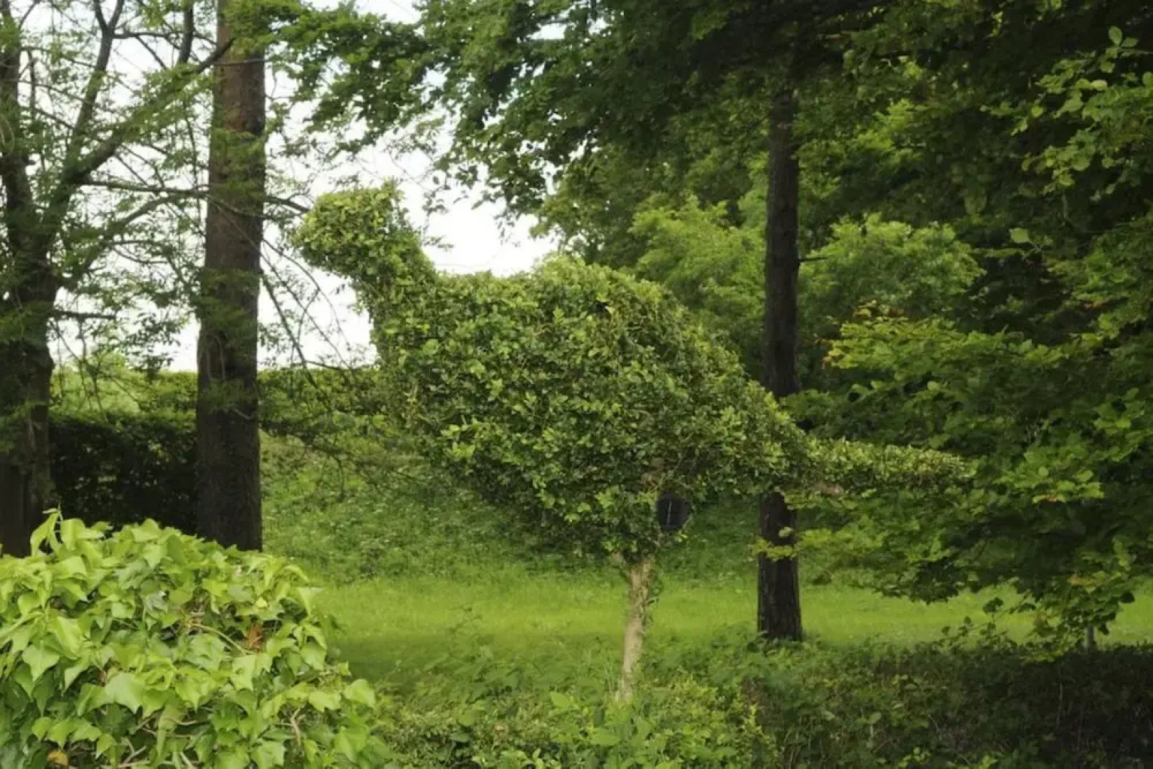 The Pheasant Inn - The Inn Collection Group