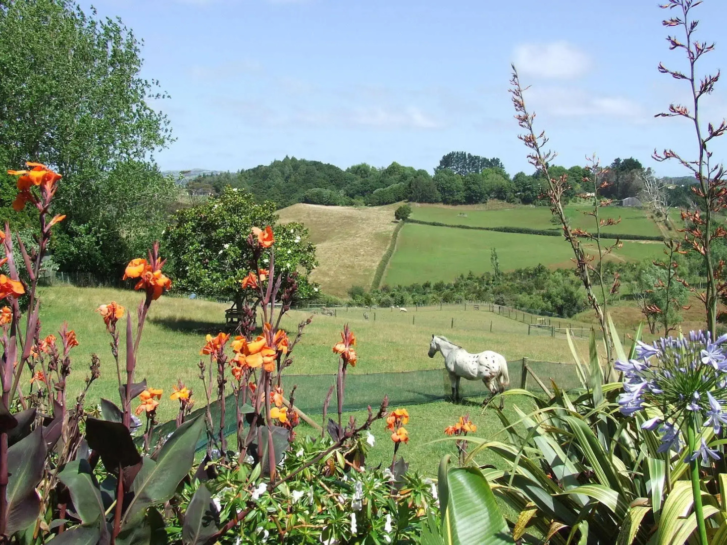 Runciman Berries and Emus B&B