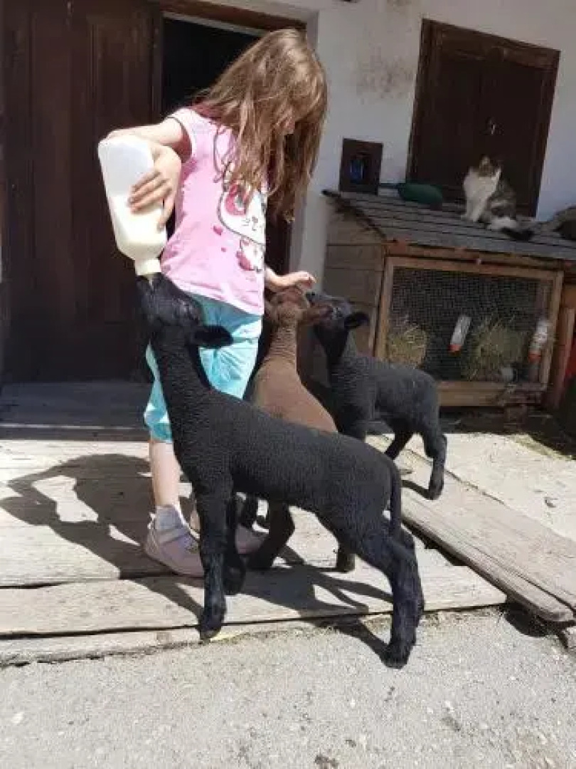 Bauernhof Schoettelbauer