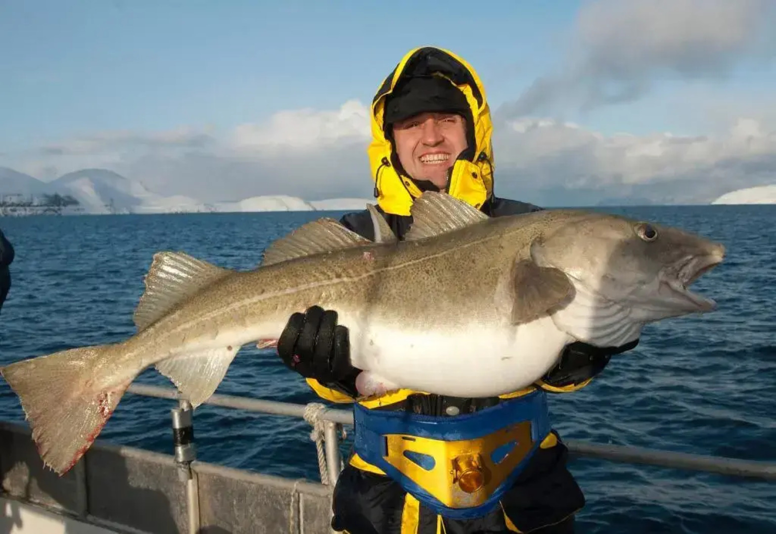 Repvåg Camping-Nordkapp AS