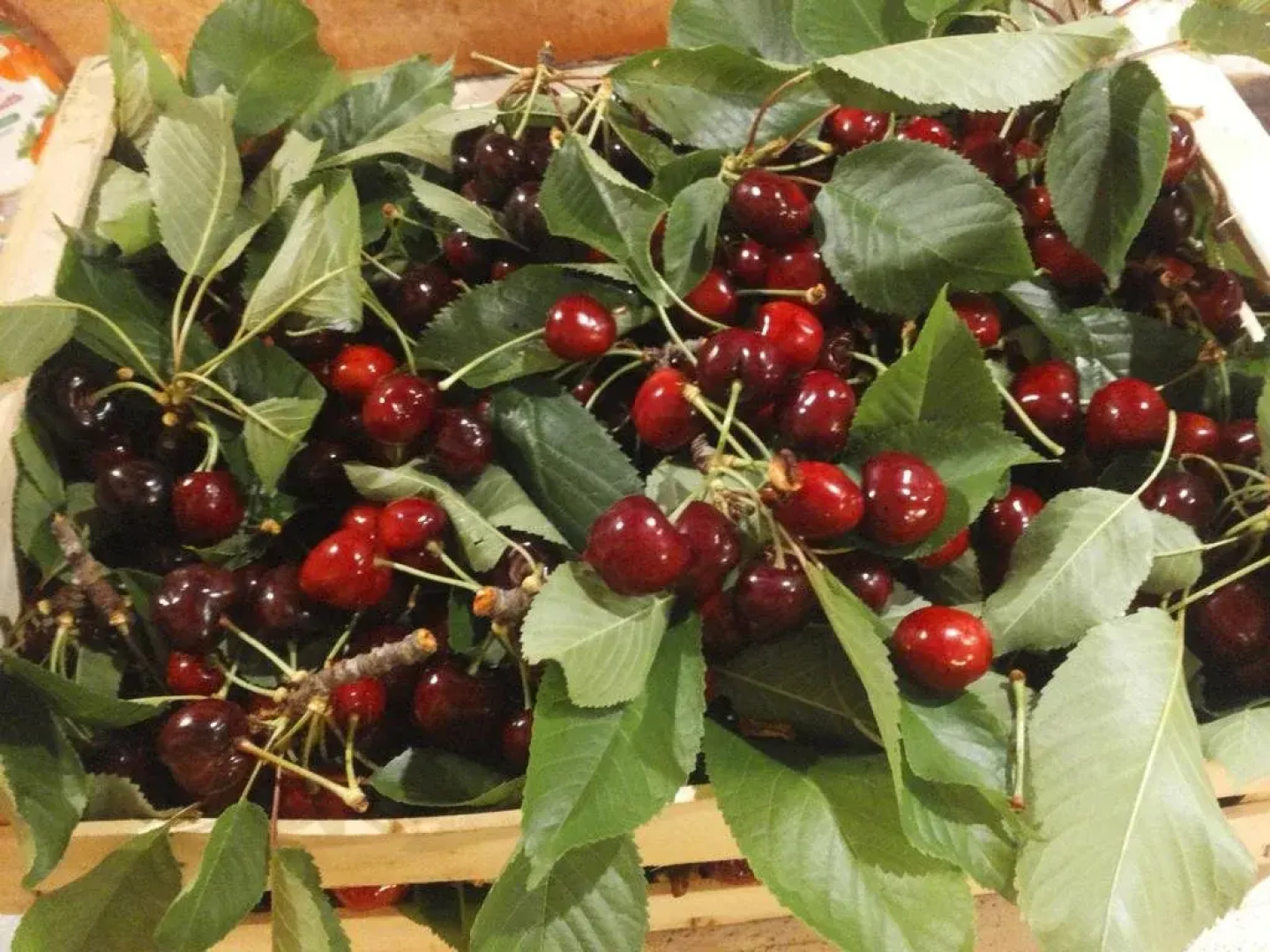 Home for Creativity - Coliving Calabria