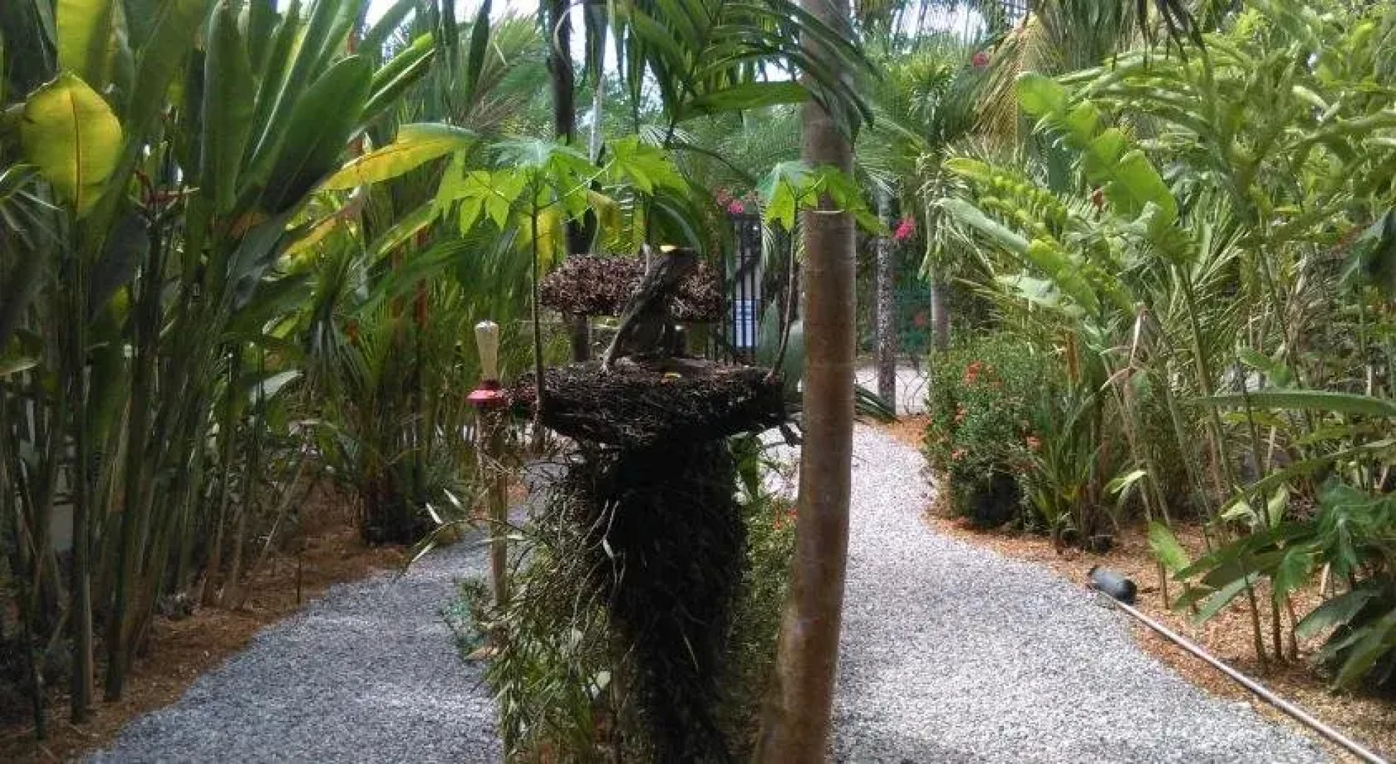 Cabinas Tropicales Puerto Jimenez