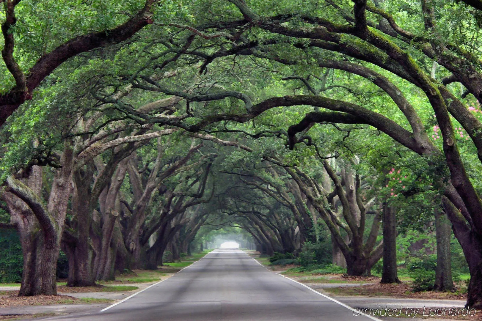 Fairfield Inn & Suites by Marriott Aiken
