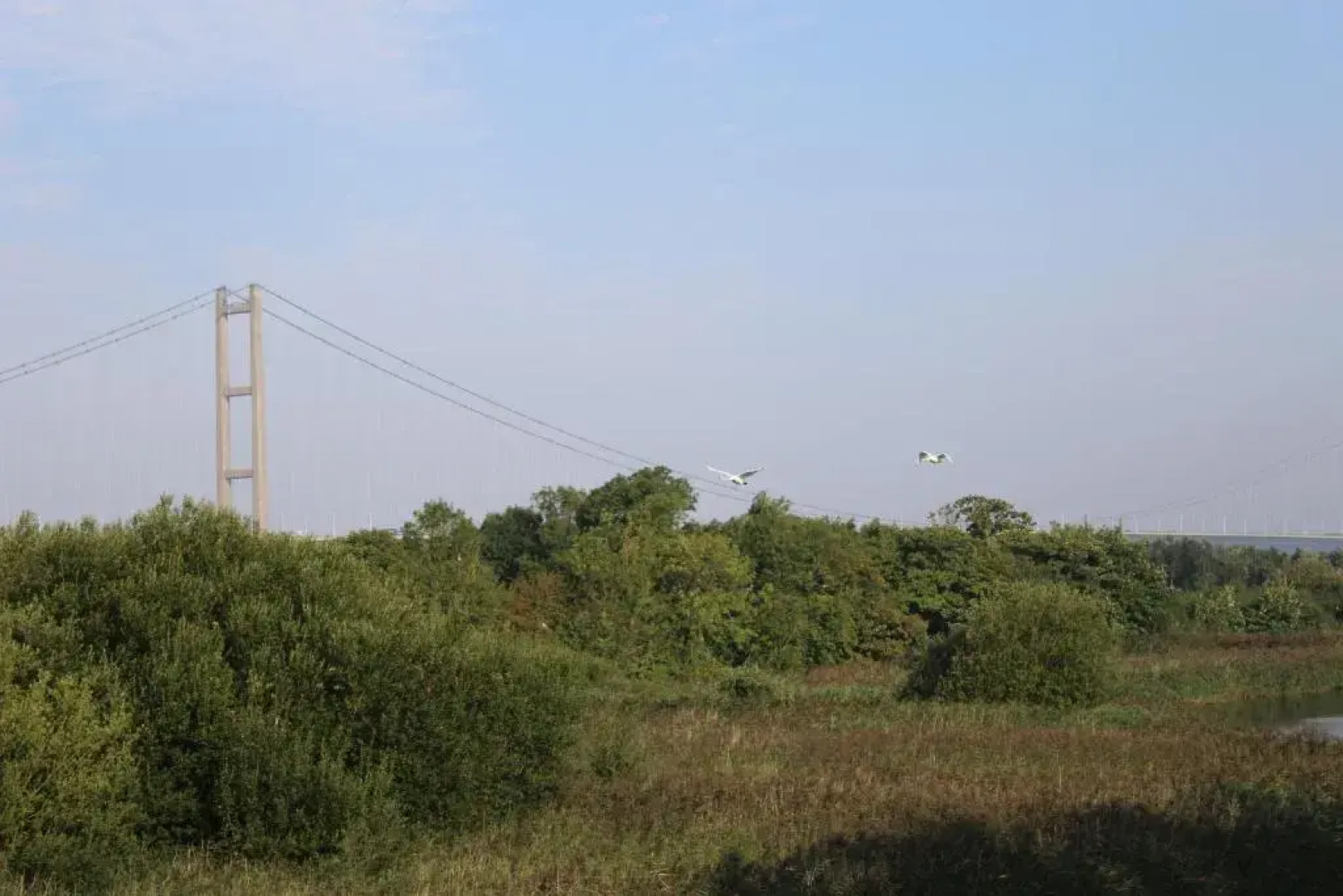 Marshlands Lakeside Nature Retreat