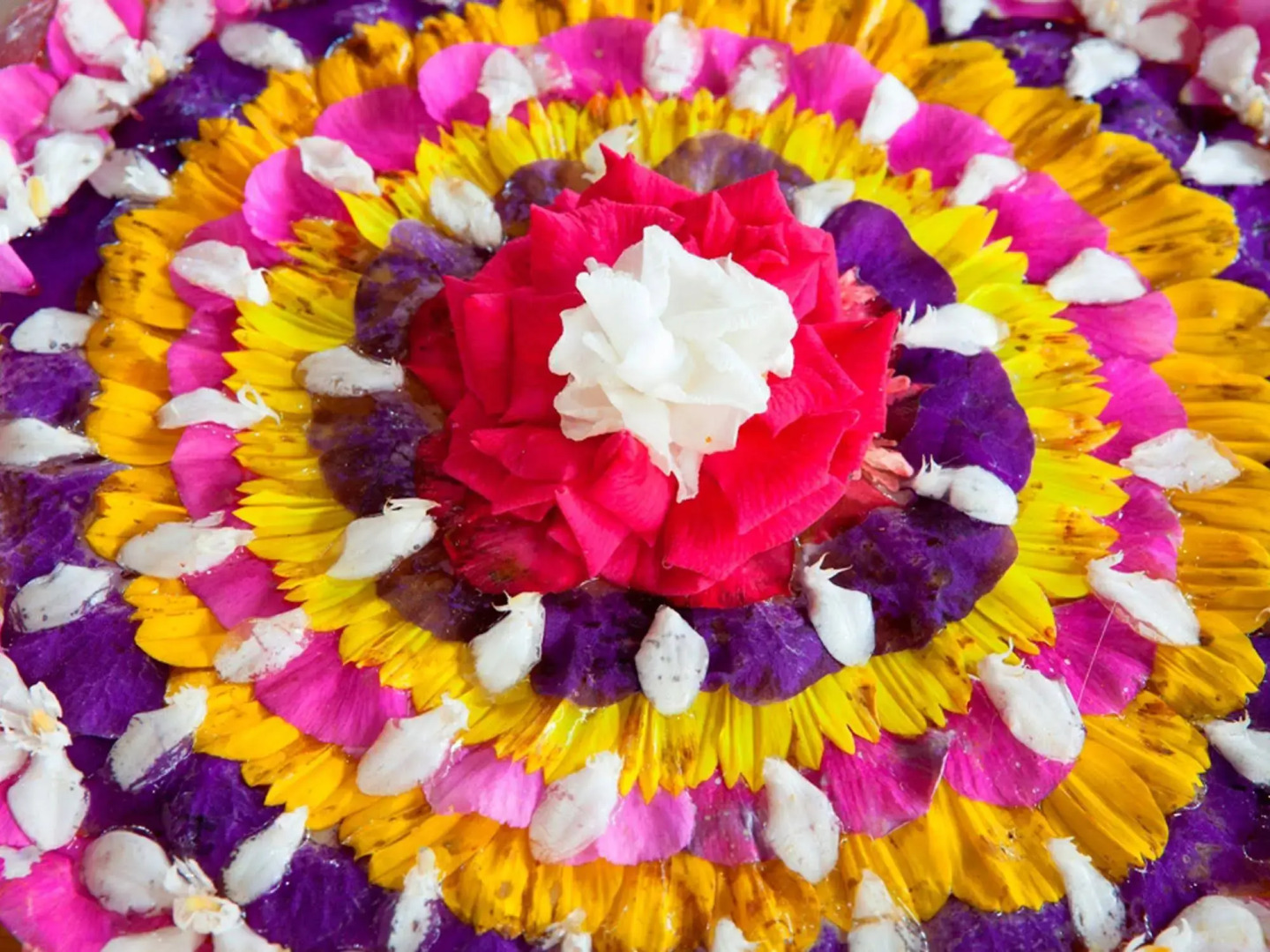 Vida Homes Condo Resort