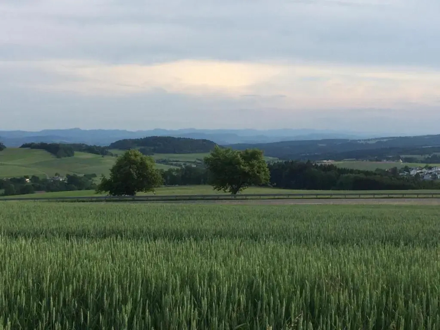 Gästehaus Adler Albtal