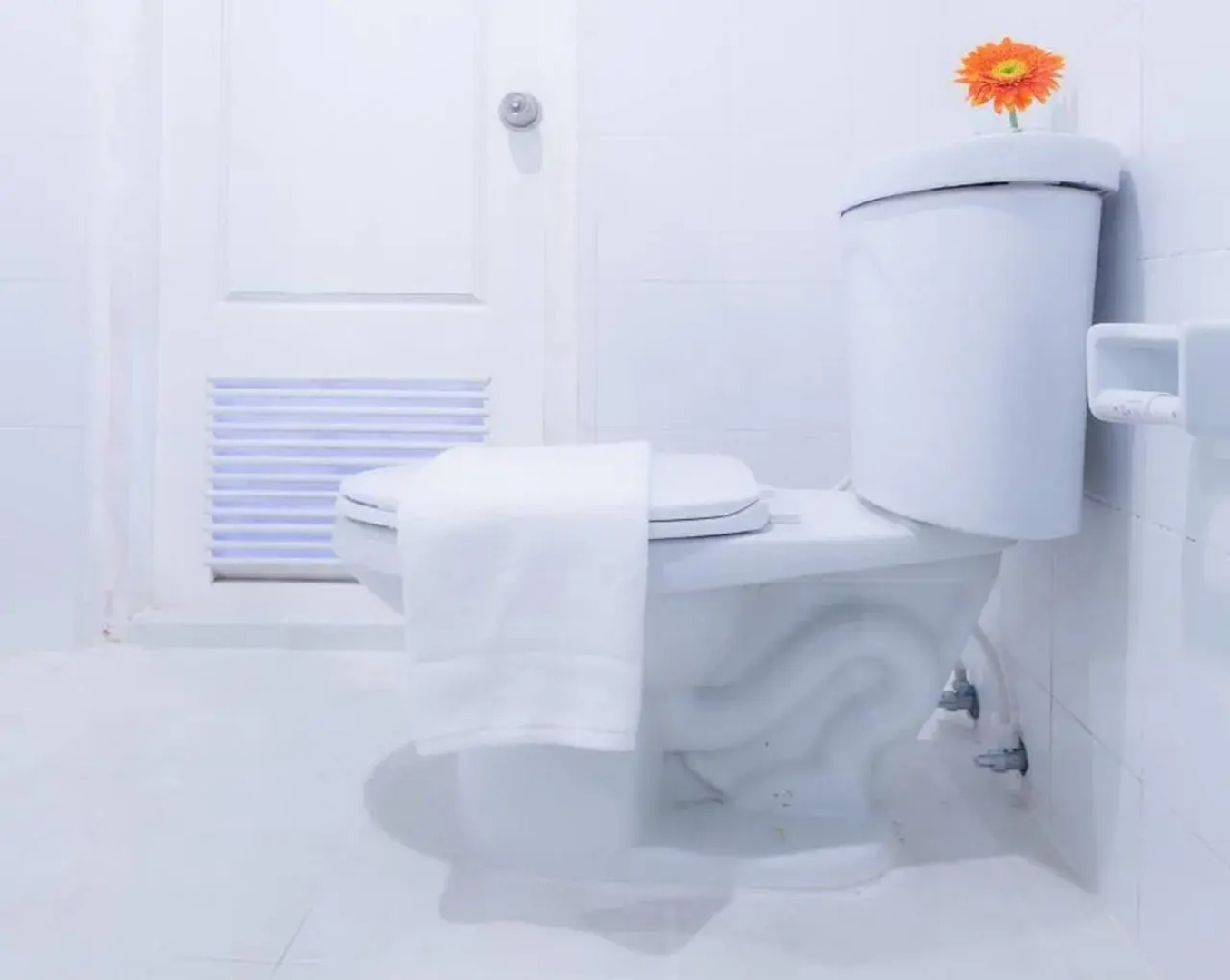 Hotel Zing Phnom Penh