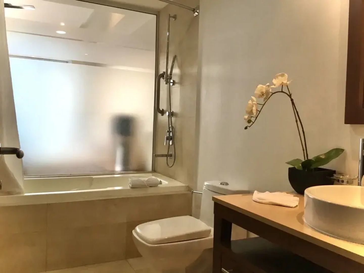 Icon Vallarta Apartments