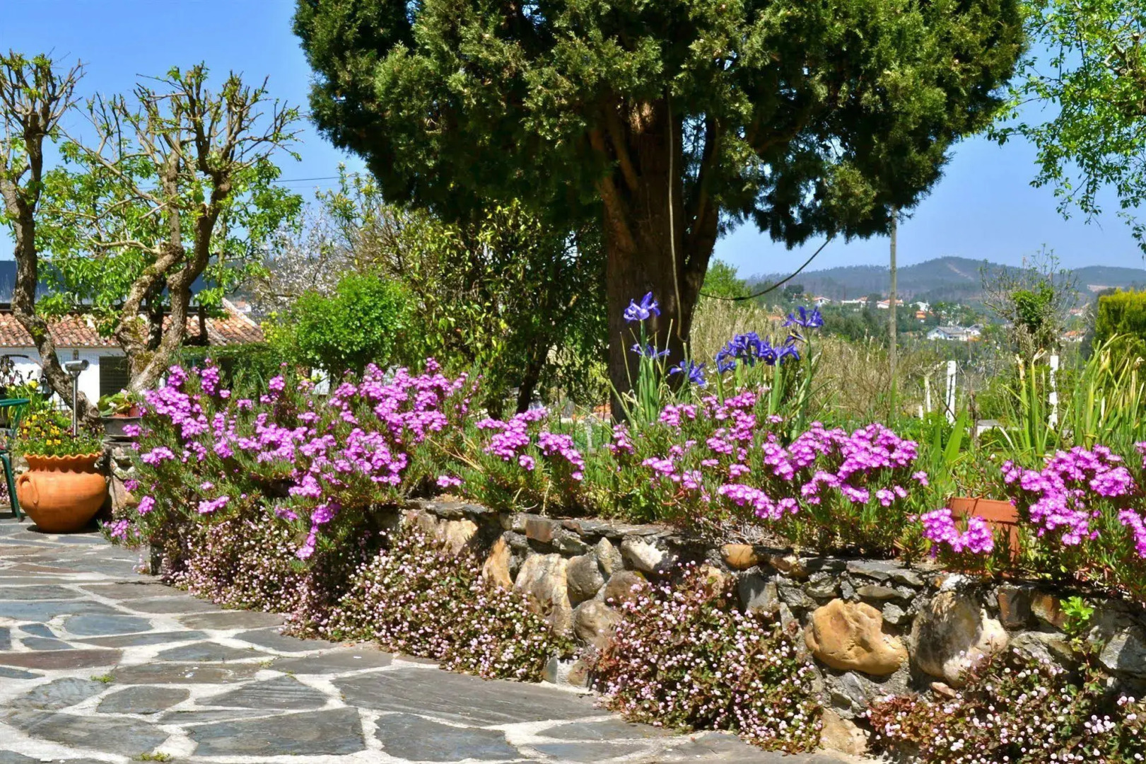 Quintal de Além do Ribeiro