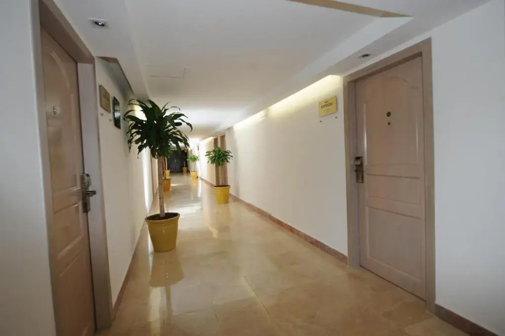 Imperio de Angeles Executive León Poliforum