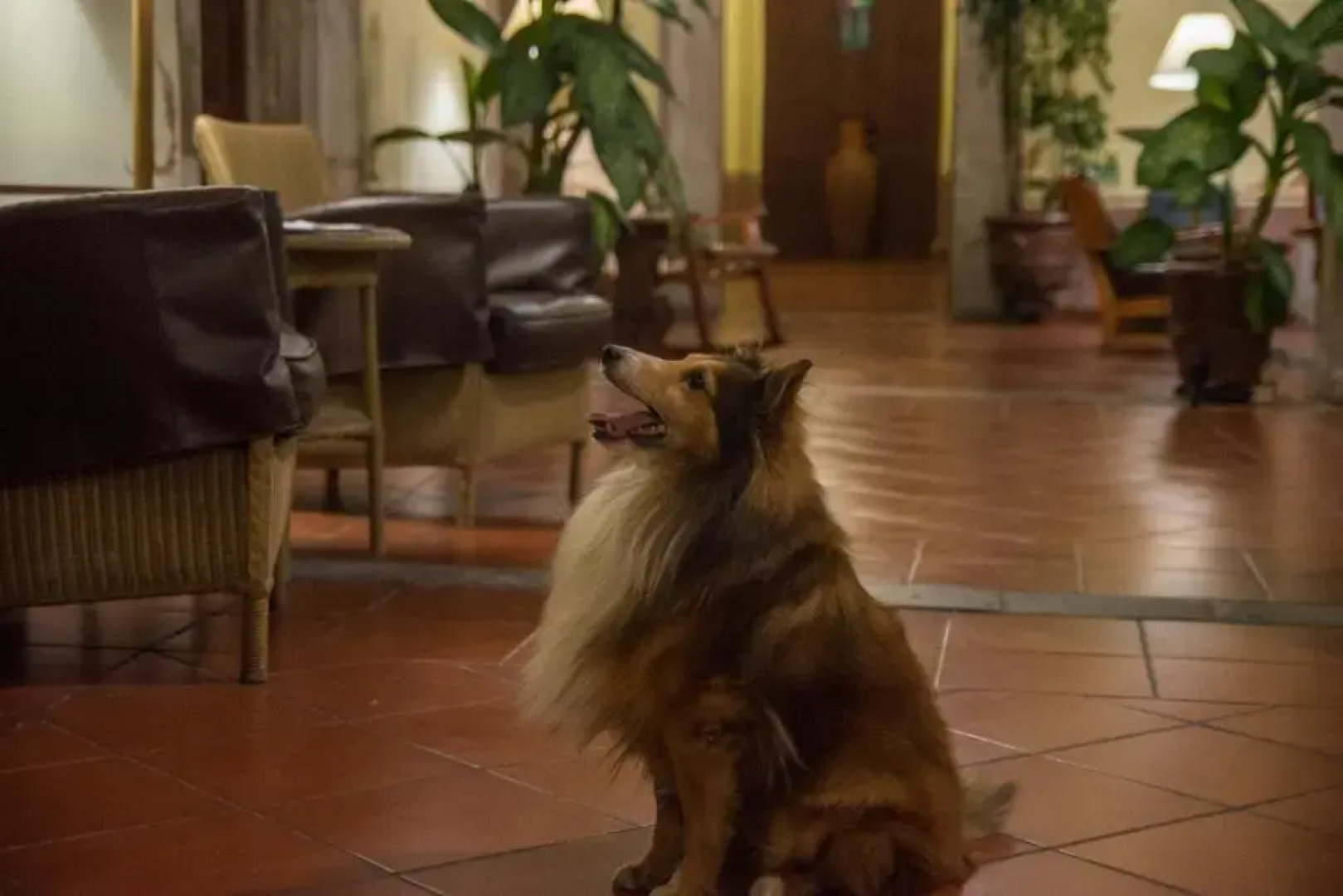 Hotel Posada San Agustin