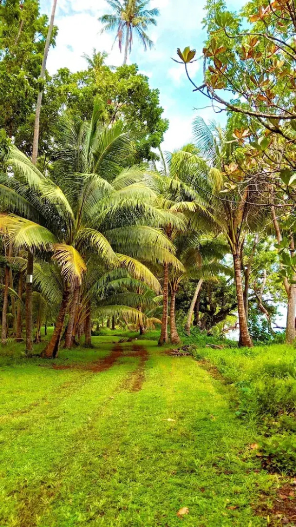 Tahaa - Villa Tehere Dream Beach Front