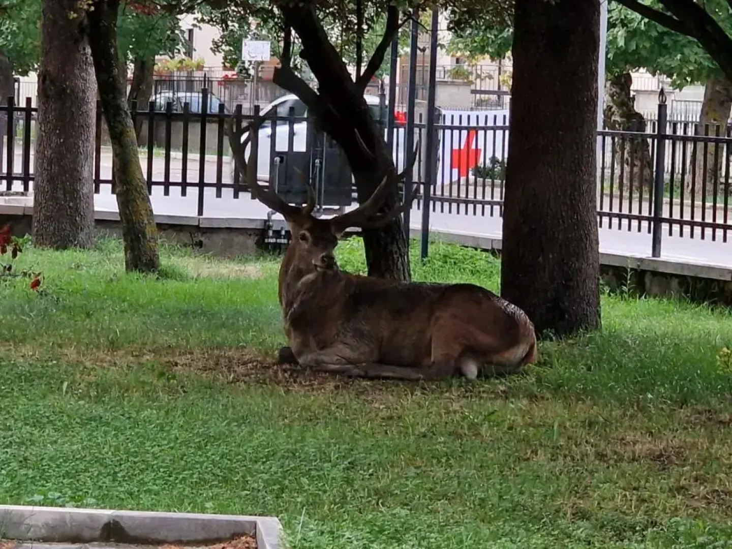 appartamento in residence