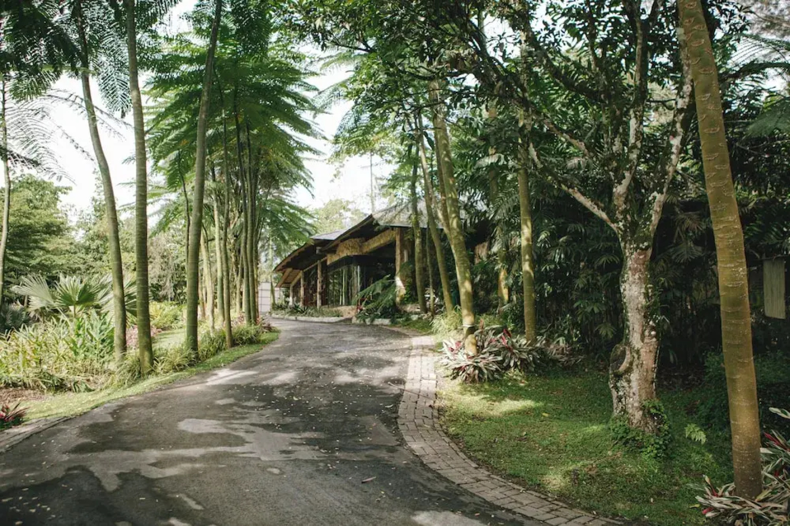 The Hill Hotel & Resort Sibolangit Powered by Archipelago