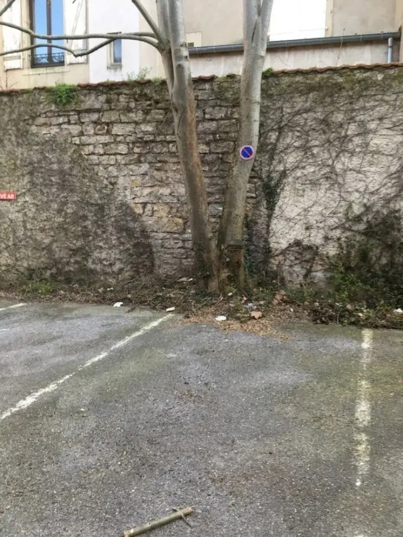 La Pepiniere Victoria