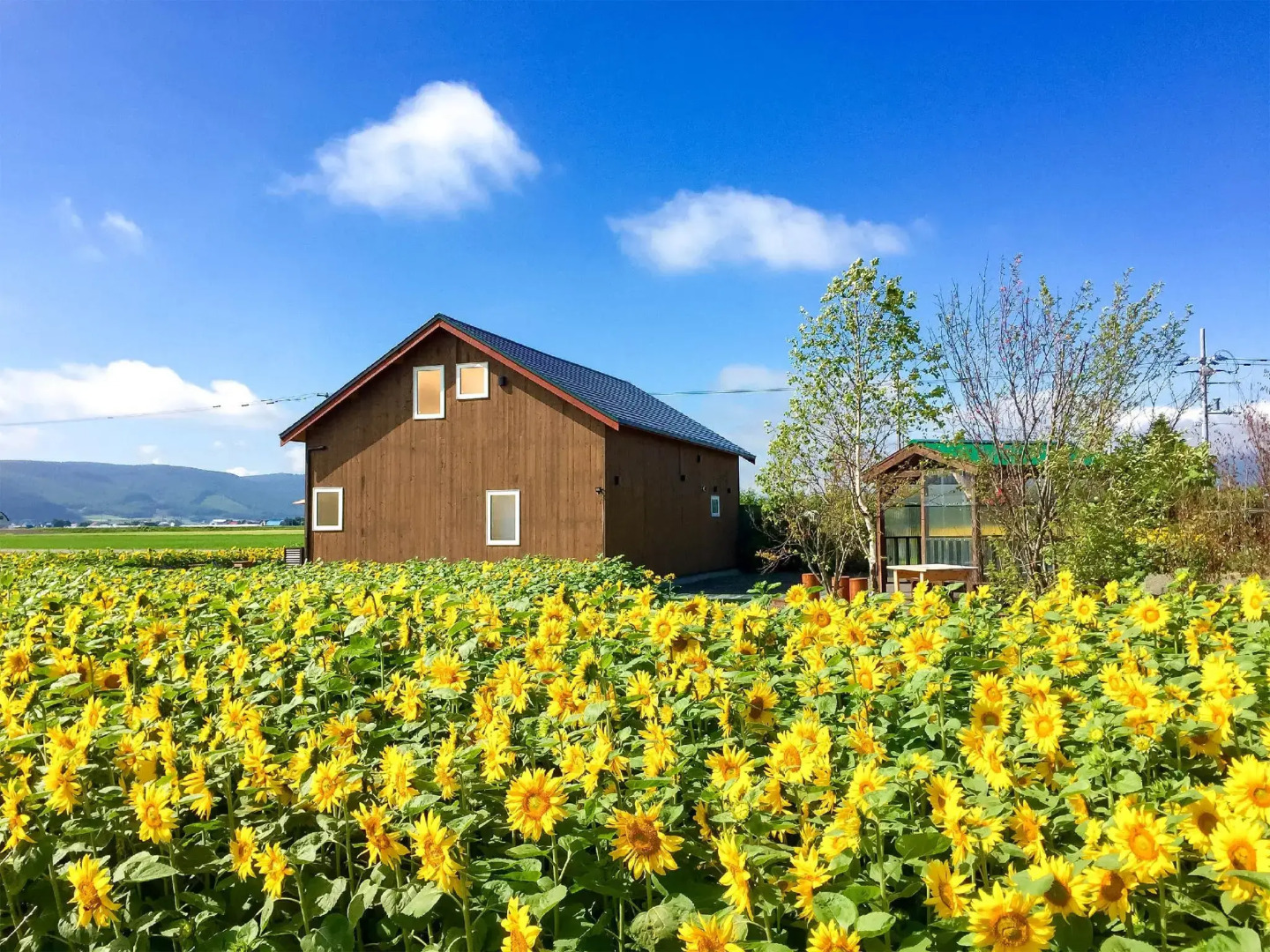 Country Cottage Wakiaiai