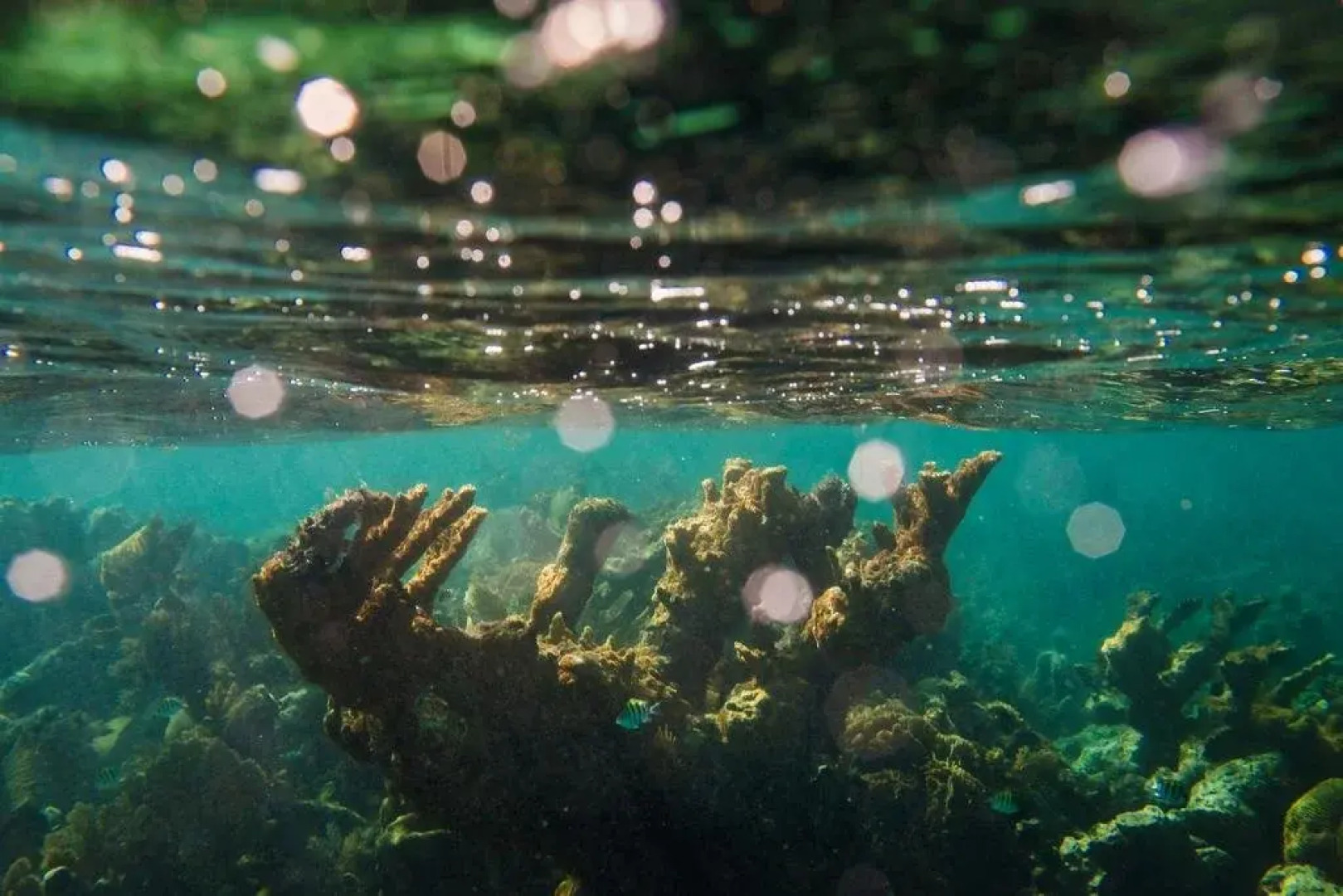 Sian Ka'an Luxury - All Inclusive