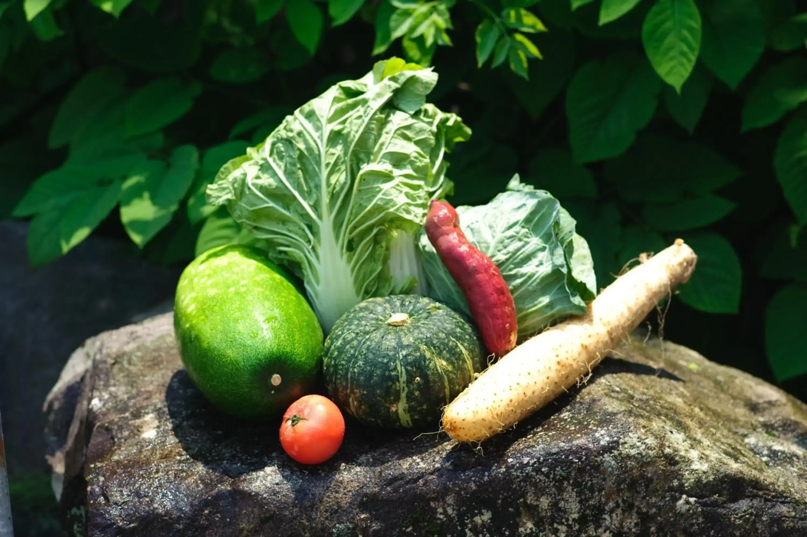 Yuzawa New Otani Hotel