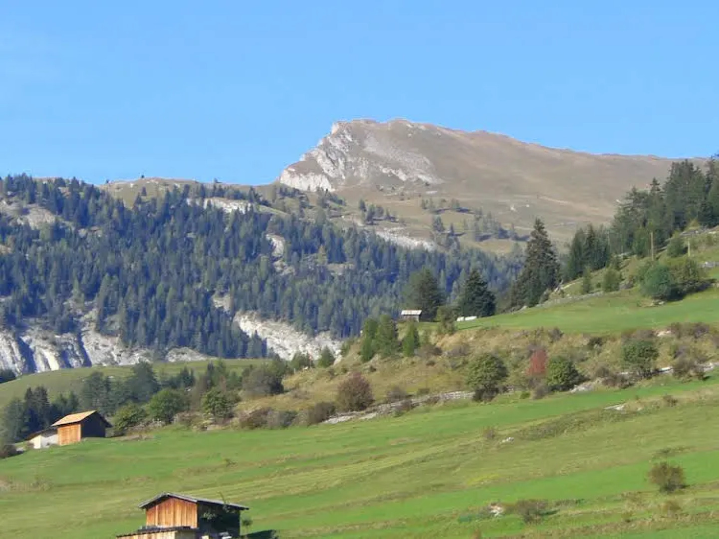 Apart Bauernhof Rosenhof