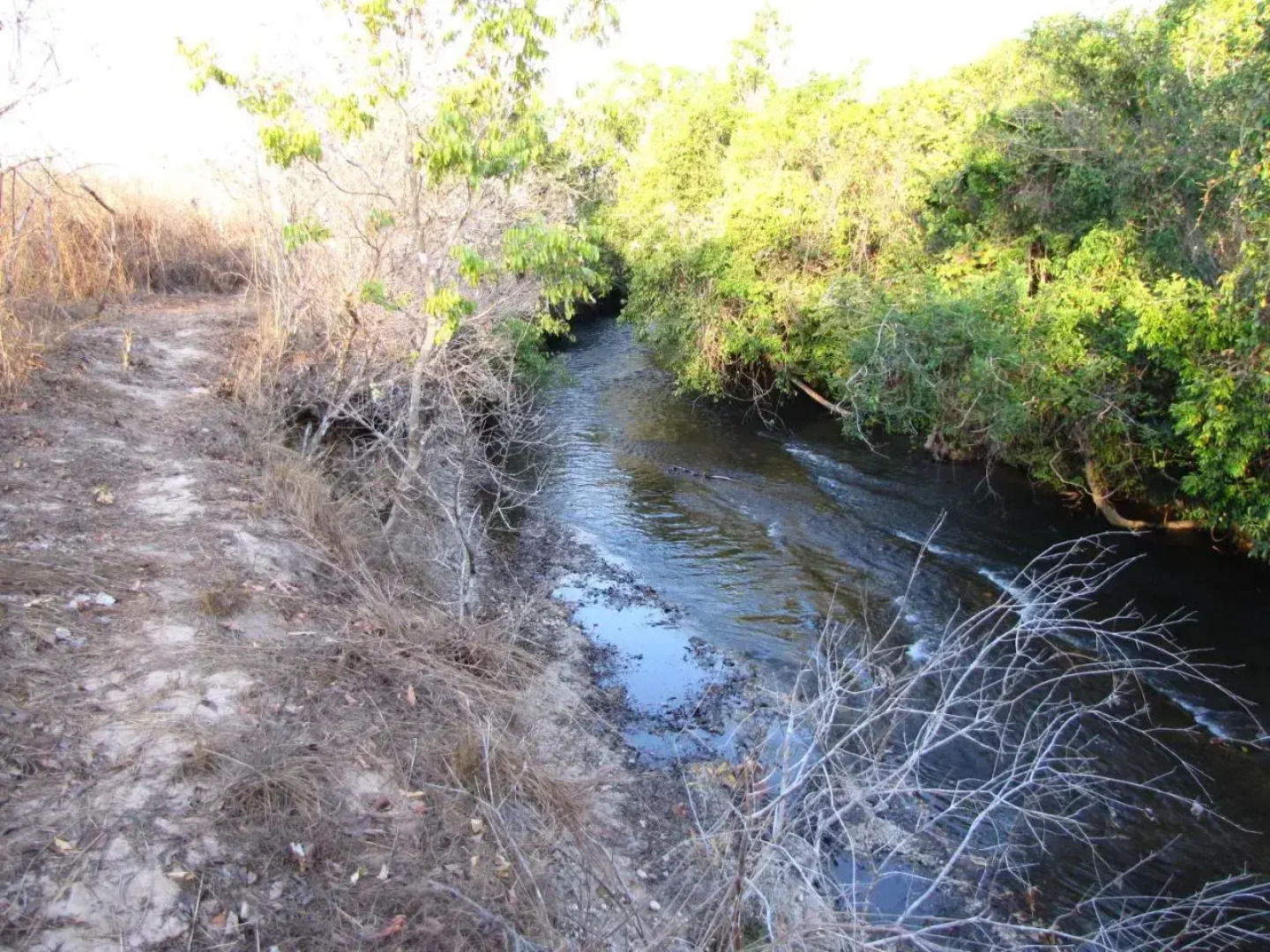 Hotel Fazenda Arara Azul