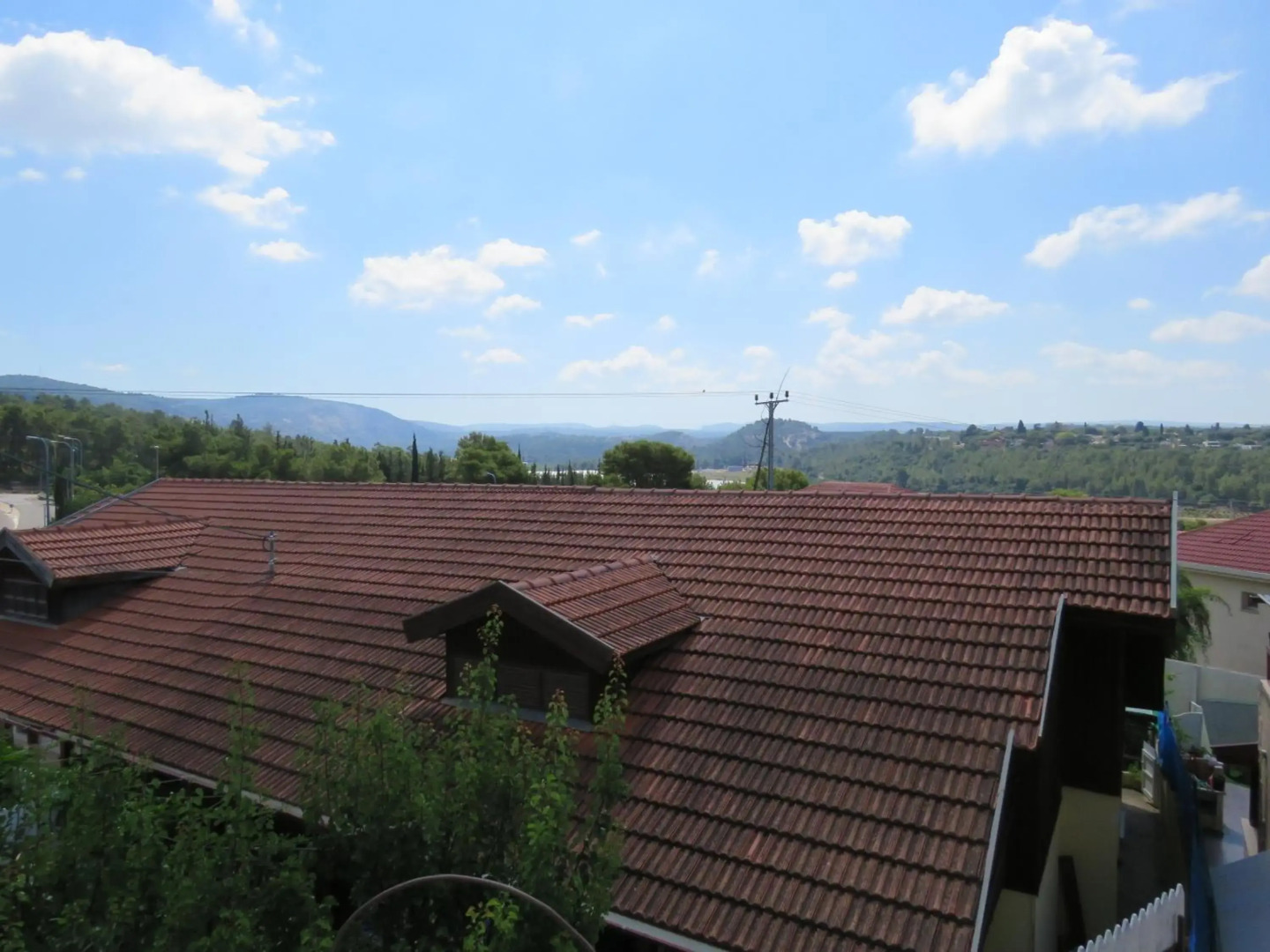 בין יער לים