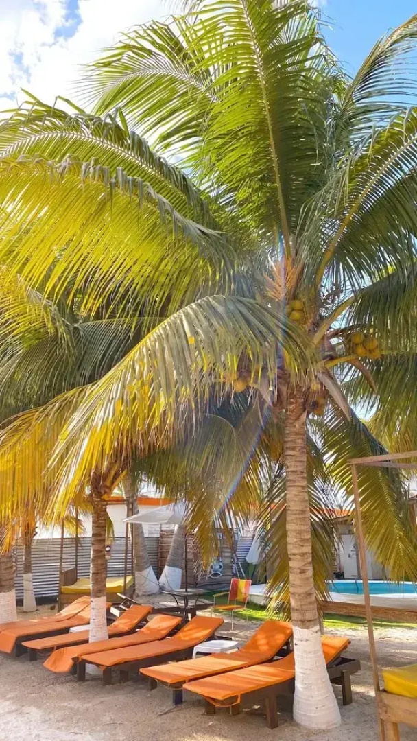 Cabañas Frida