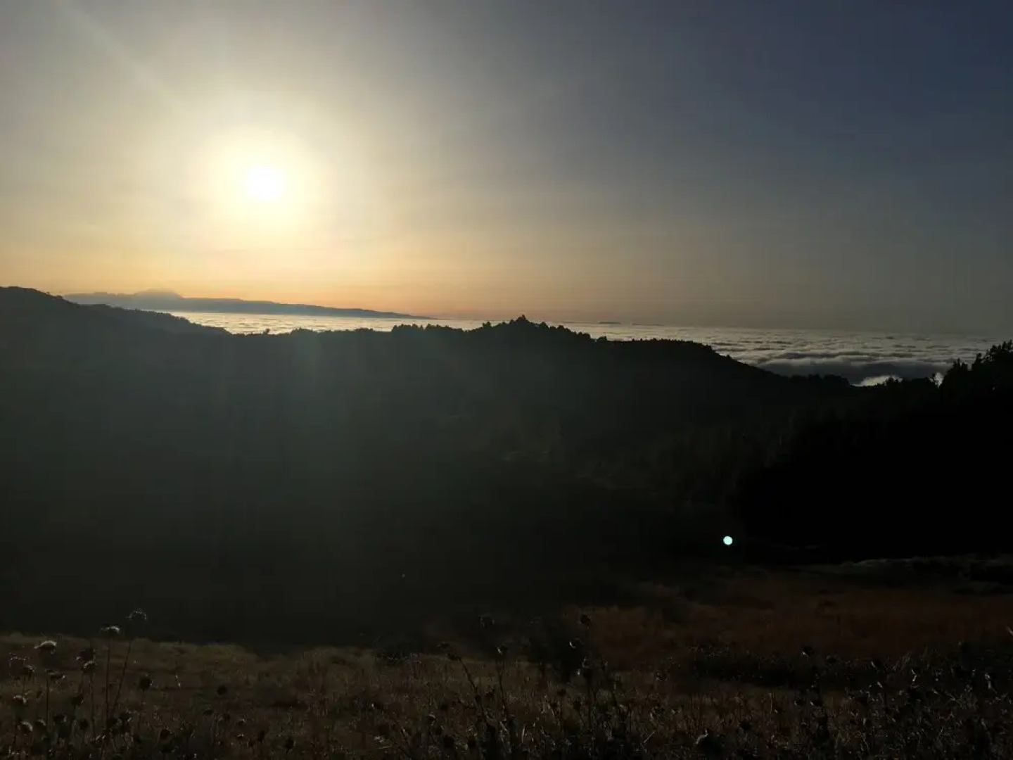 Aromas en Fontanales