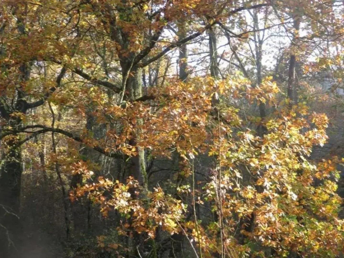 Gîte Louroux-de-Bouble, 4 pièces, 6 personnes - FR-1-489-5