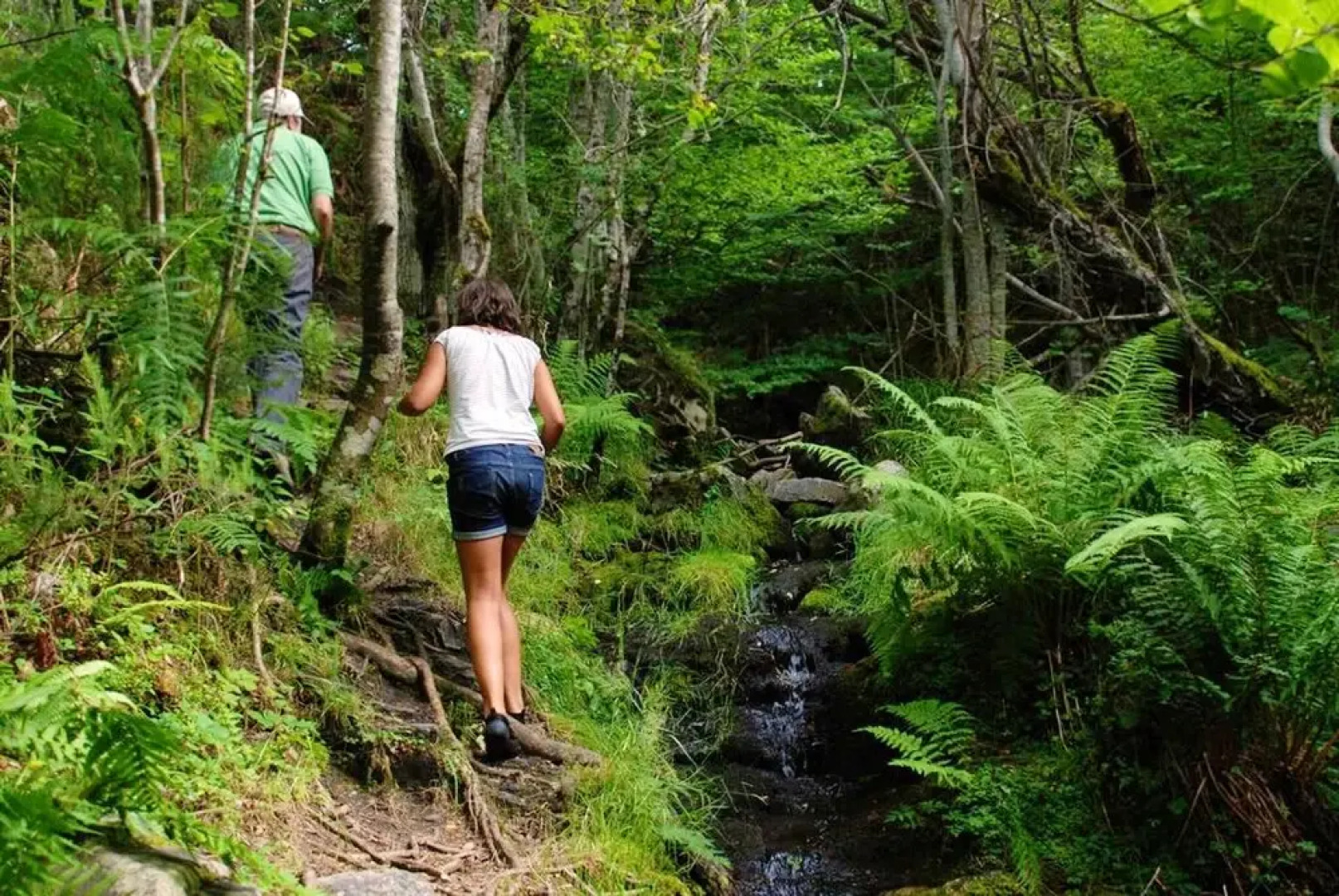 House With 2 Bedrooms in Fresneda de la Sierra Tirón, With Furnished Terrace