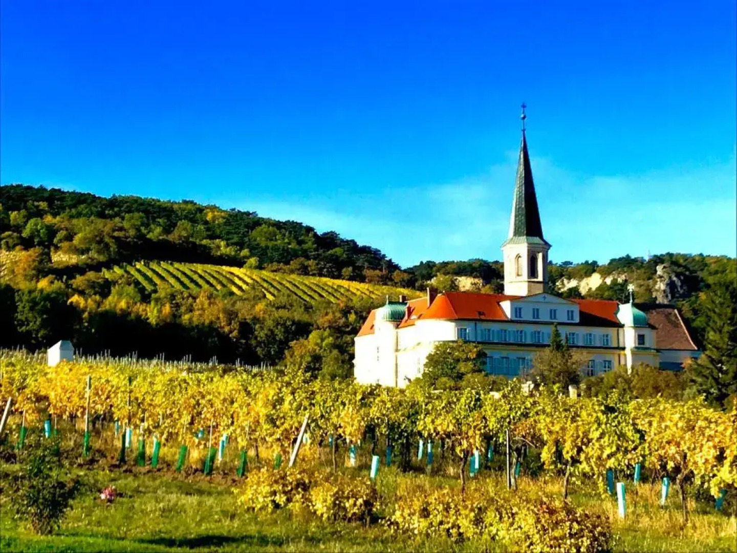 Hotel Landhaus Moserhof