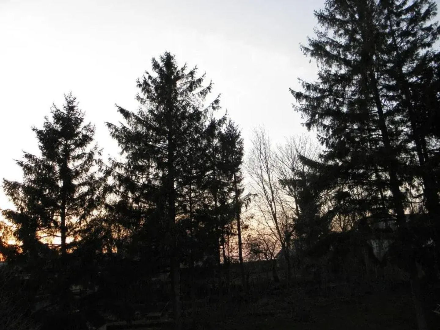 Sylvesters Bed and Breakfast