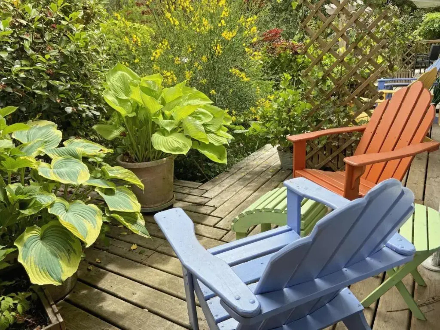 Wisteria Guest House