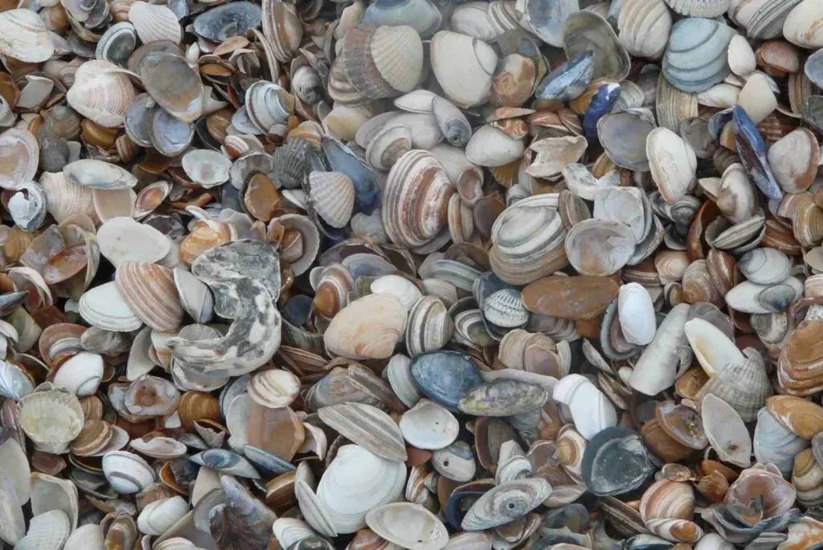 Appartement, Kaap 123 - Ameland