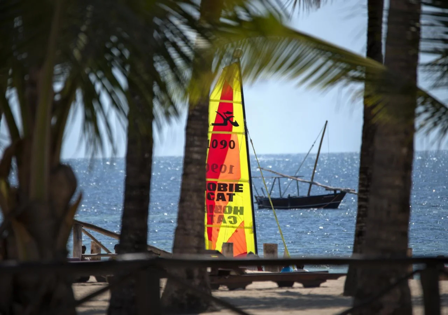 Diamonds Dream of Africa