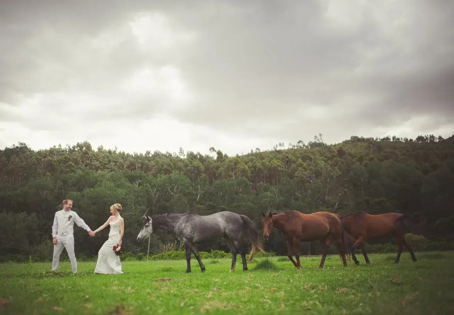 Grand Dédale Country House