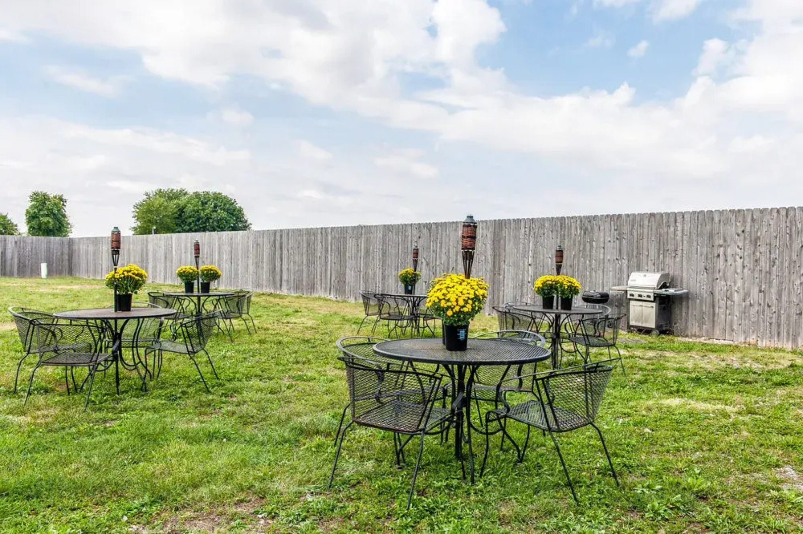 Quality Inn & Suites  Mattoon Area