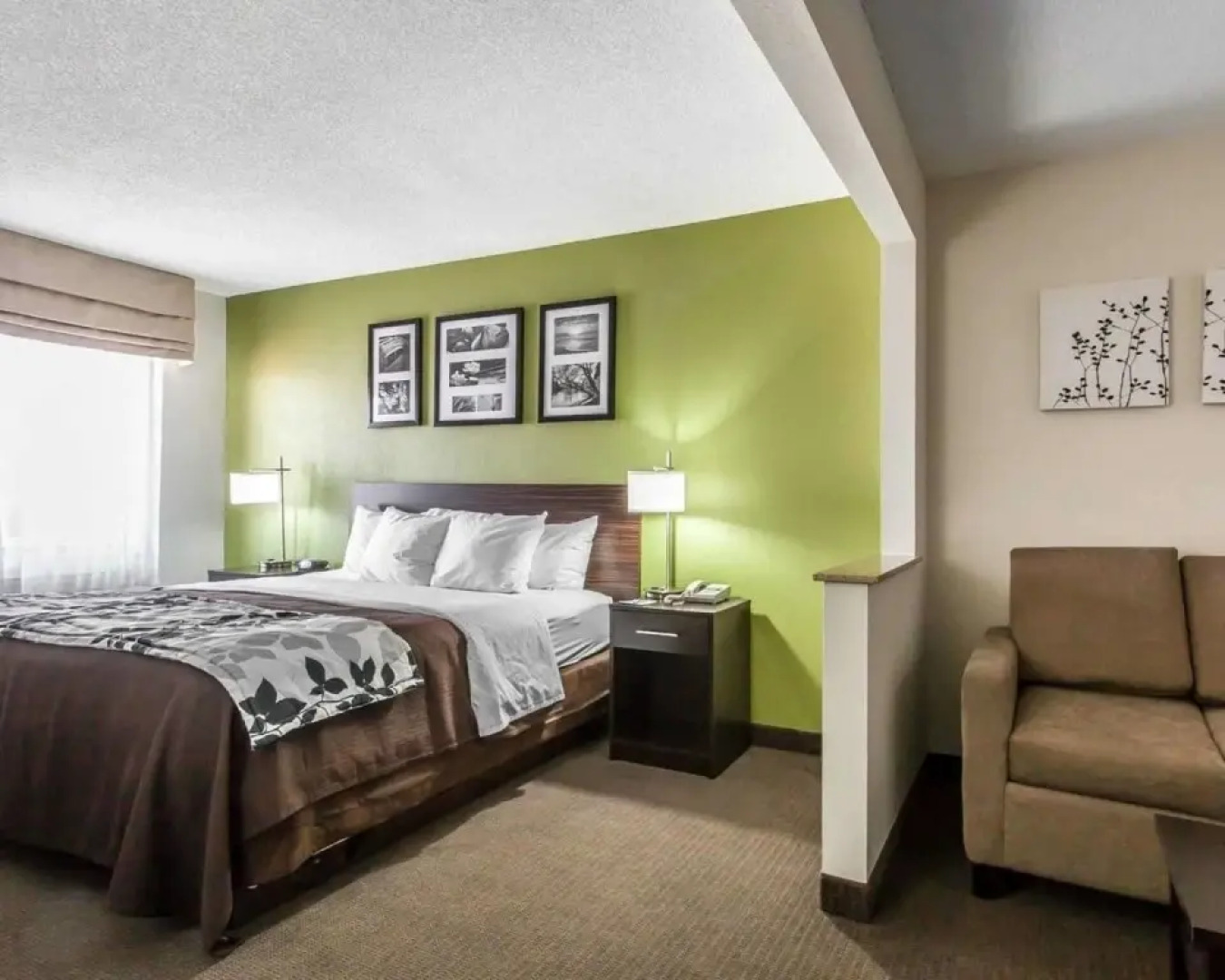 Sleep Inn And Suites Austinburg