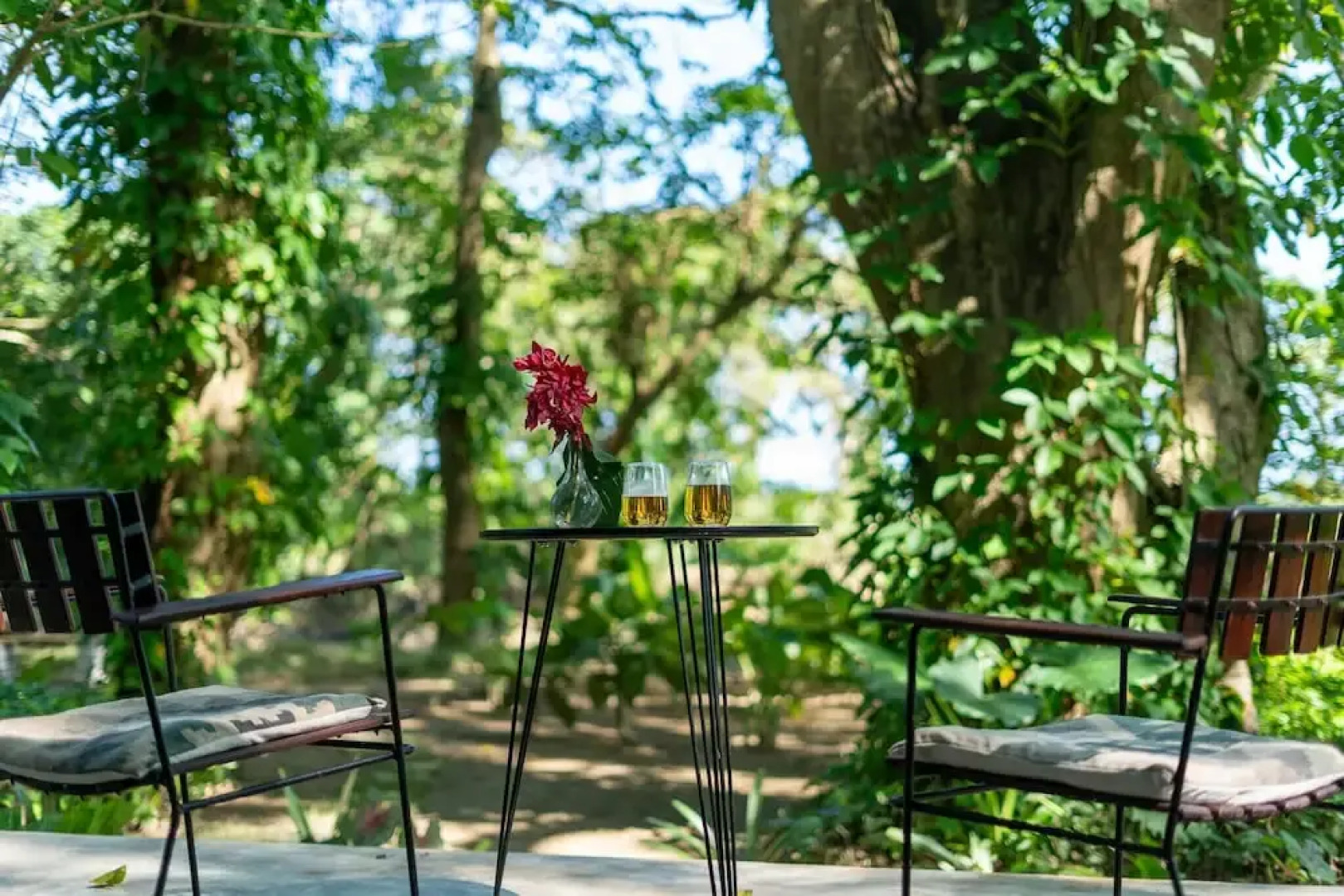 REFUGIO Sabaneta de Yásica