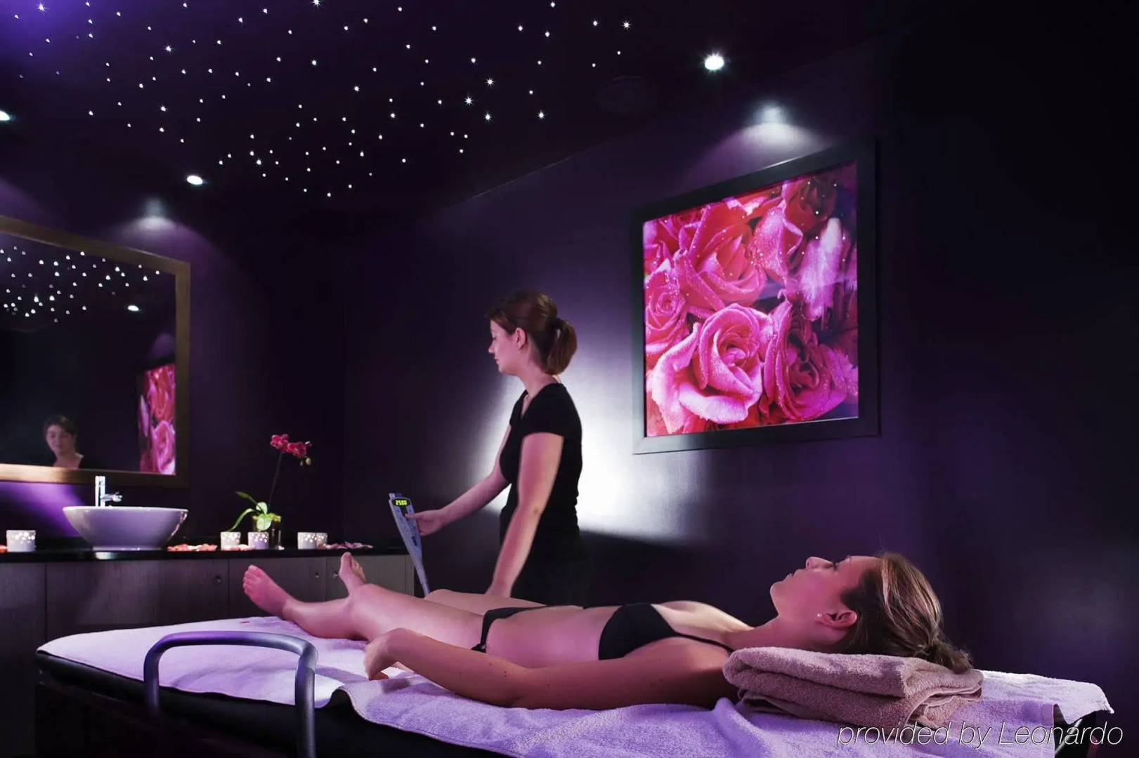 Château de Villiers-le-Mahieu, Les Maisons de Campagne