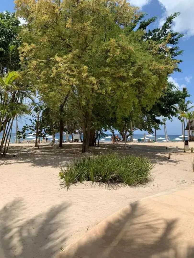 2 Bedrooms 3 Bath apt. @ La Marina, Casa De Campo