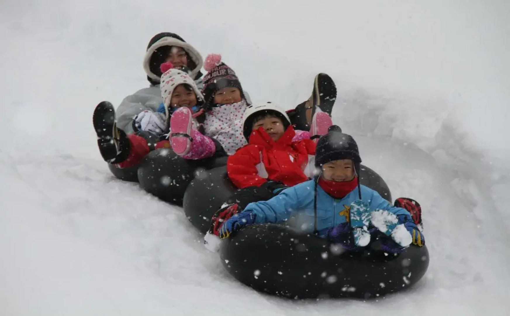 TOYOTA Shirakawa-Go Eco-Institute