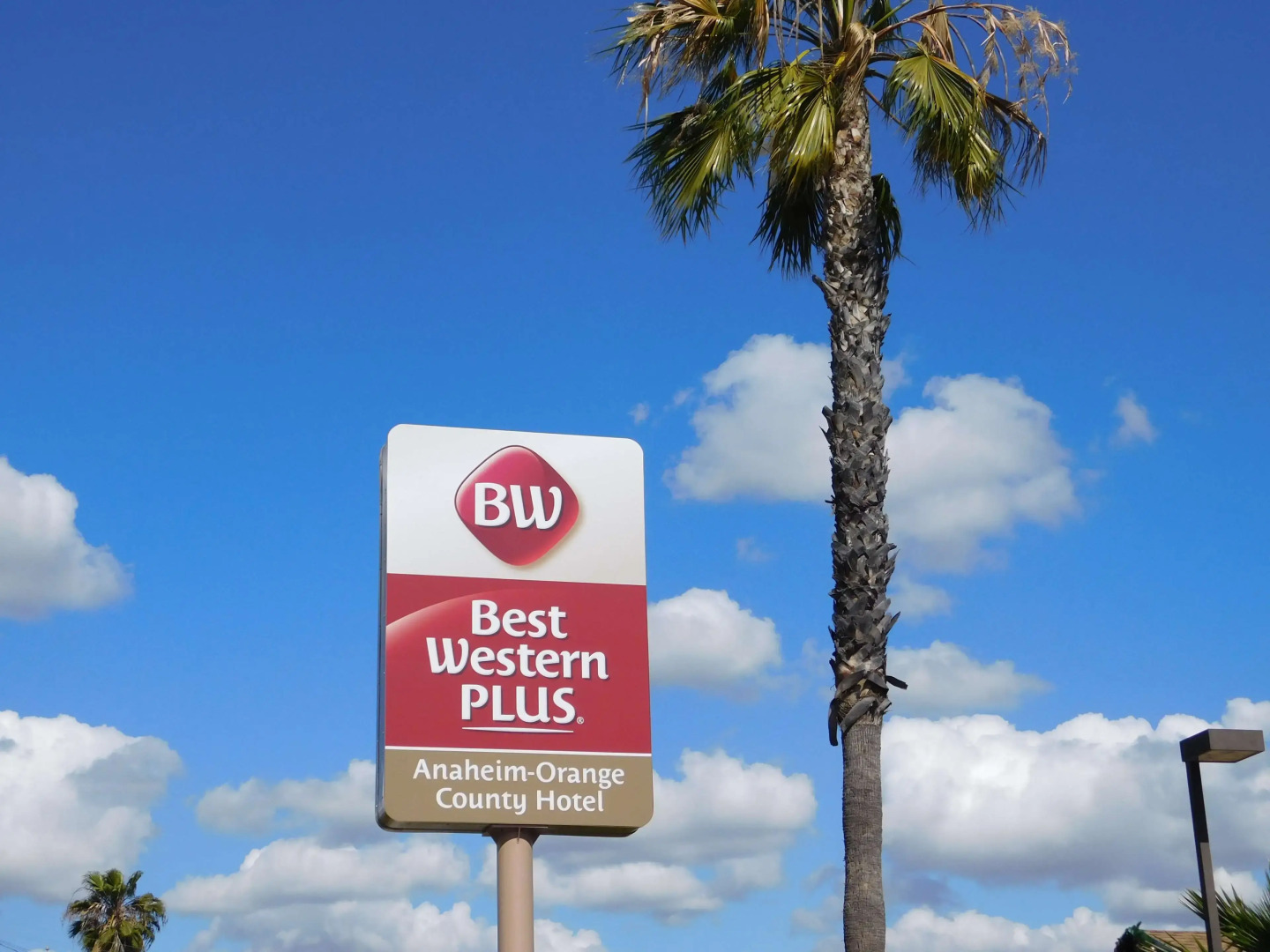 Best Western Plus Anaheim Orange County Hotel