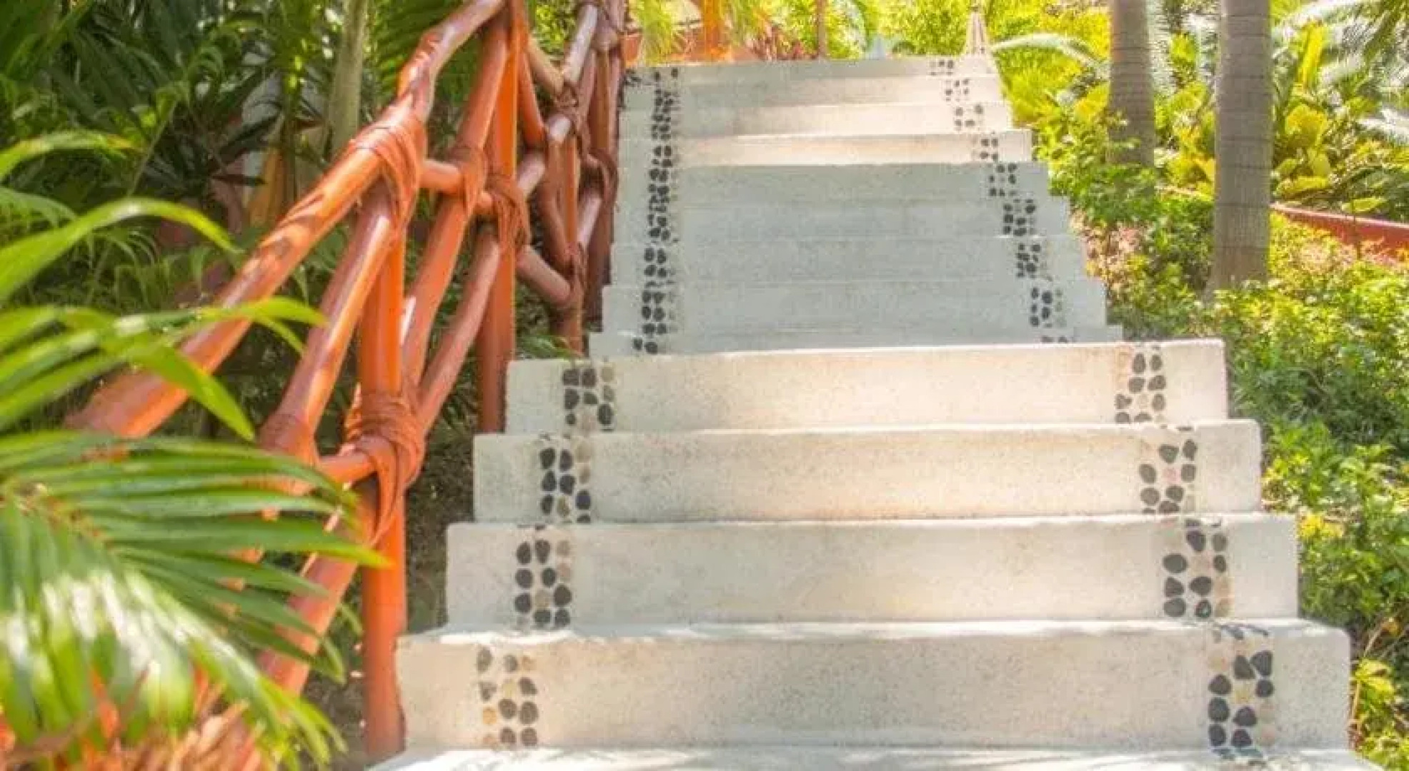 The Phoenix Sayulita