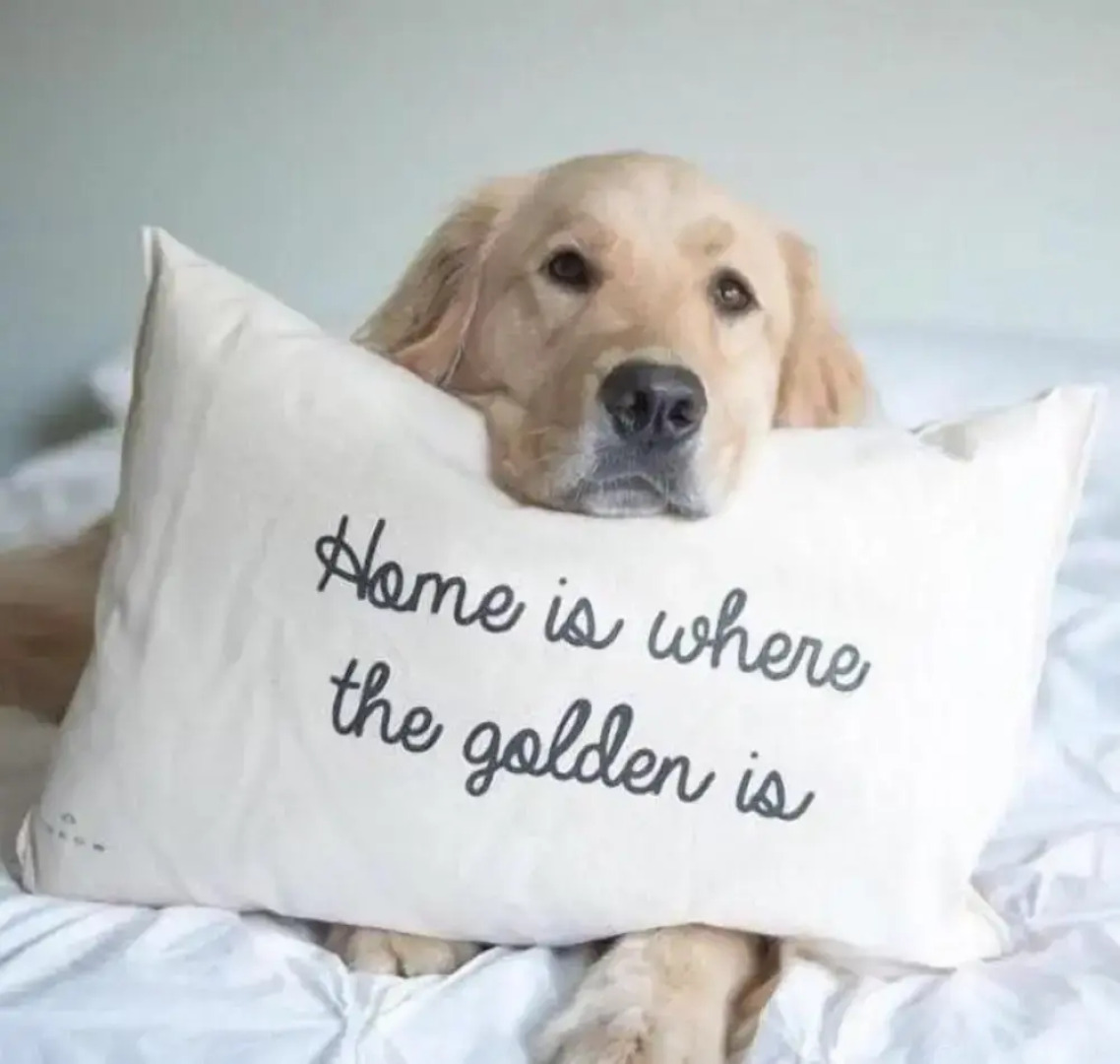 The Mill Restaurant & Accommodation