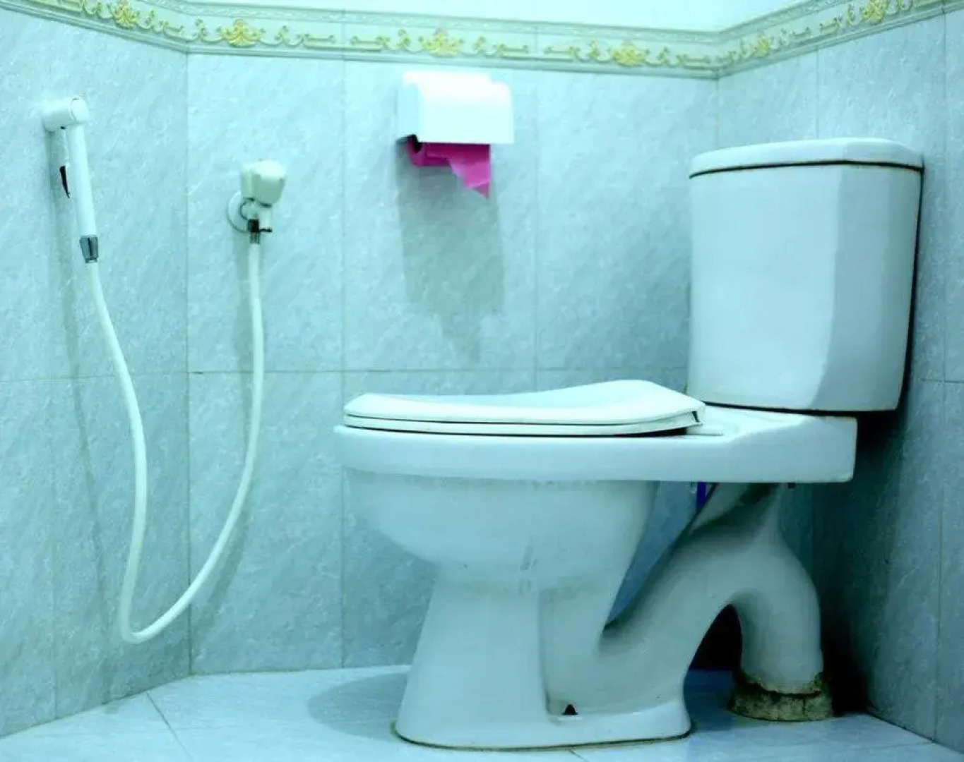 Elegant Palace Guest House