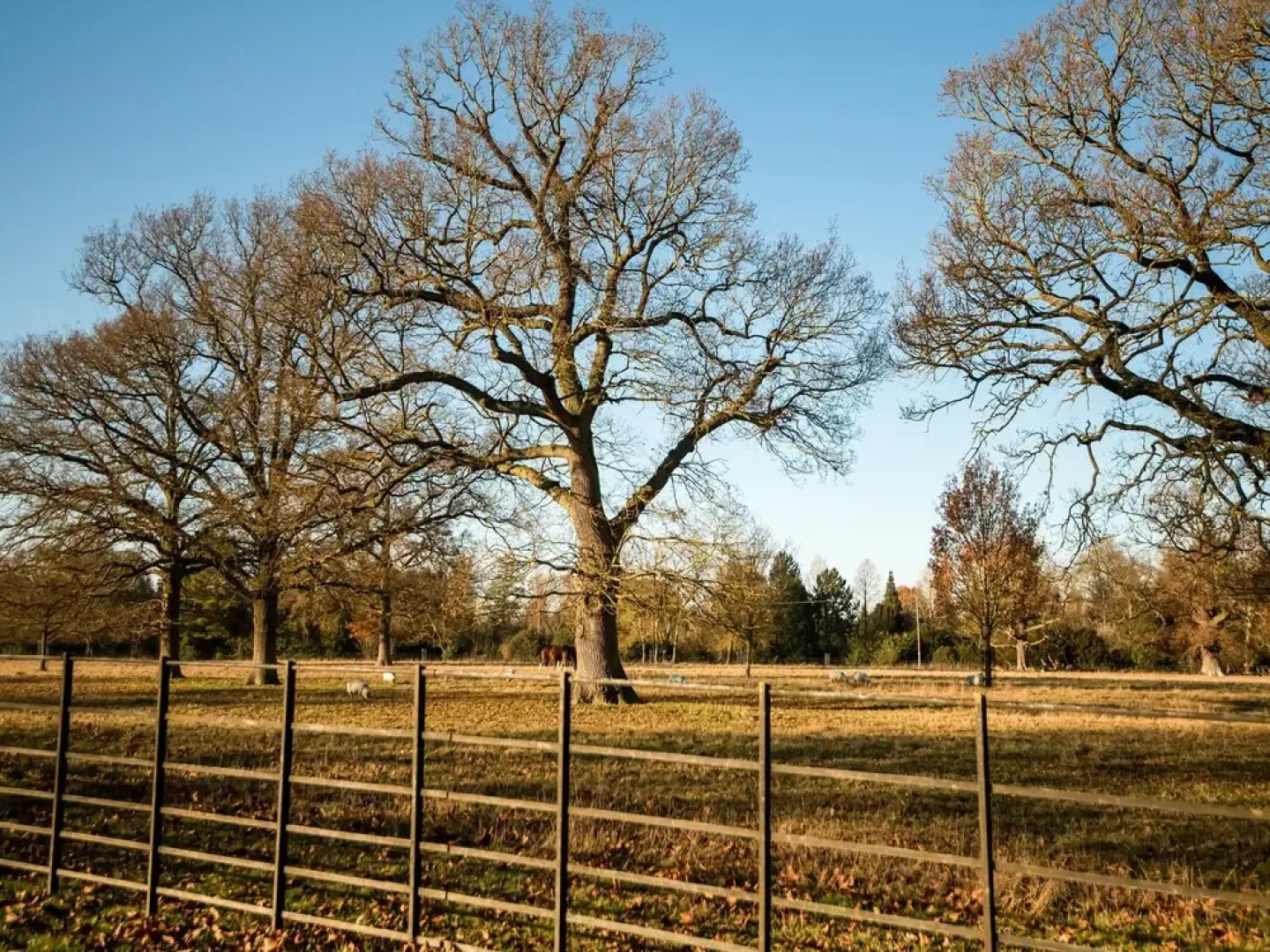 Hardwicke Arms Hotel